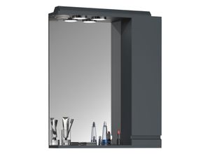 4051814423697 - Badspiegel Wandspiegel Breite 60 cm Hängespiegel Spiegelschrank Badezimmer Drehtür grifflos Beleuchtung Silora L (Farbe Anthrazit)