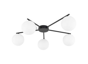 4255596701114 - Licht-erlebnisse - Deckenleuchte Glas Metall G9 Schwarz Weiß Kugelschirm Modern 4255596701114 - Licht-erlebnisse - Deckenleuchte Glas Metall G9 Schwarz Weiß Kugelschirm Modern