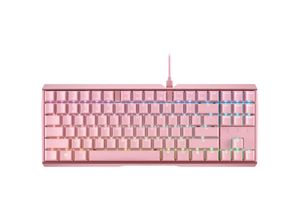 4025112103179 - CHERRY MX-Board 30 S - Tastatur - Hintergrundbeleuchtung - USB - QWERTZ - Deutsch