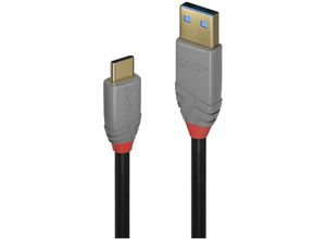 4002888369114 - USB-Kabel usb 32 Gen2 (usb 31 Gen2) usb-c® Stecker usb-a Stecker 100 m Schwarz Grau 3691 - Lindy