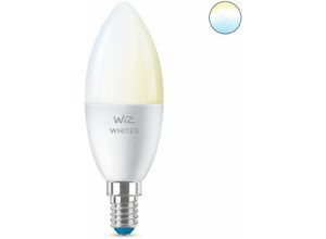 8718699787073 - - Philips Lighting 8718699787073 led eek f (a - g) E14 49 w = 40 w Warmweiß bis Kaltweiß app-gesteu