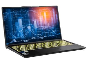 4046373761205 - CAPTIVA Business-Notebook Power Starter I76-120 Notebooks Gr 32 GB RAM 500 GB SSD Core i5 Microsoft Windows 11 Home (64 Bit) schwarz