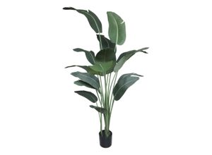5712750384266 - Chic Antique Fleur Strelitzie Kunstpflanze H200 D19 cm grün 5712750384266 - Chic Antique Fleur Strelitzie Kunstpflanze H200 D19 cm grün