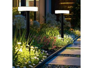 9007371508778 - - Wegleuchte Garten außen Außenleuchte Stecklampe Erdspieß Solarleuchte Akku Kunststoff schwarz opal 1x led DxH 153x561 cm 2er Set