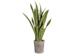 4064118038917 - Kunstpflanze CREATIV GREEN Sanseveria Kunstpflanzen Gr H 60 cm 1 St grün Kunstpflanze Zimmerpflanze Künstliche Zimmerpflanzen Kunstpflanzen im Zementtopf