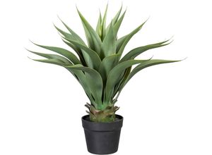 4064118971269 - Künstliche Zimmerpflanze CREATIV GREEN Agave Kunstpflanzen Gr H 57 cm 1 St grau (graugrün) Künstliche Zimmerpflanzen