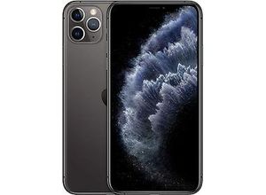 0190199380943 - iPhone 11 Pro Max 64GB space grau