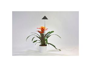 7350067690335 - SUNLiTE 7W LED Vollspektrum Pflanzenlampe Grau Indoor Plants Pflanzen Beleuchtung mit ausziehbarem Teleskopstab Parus Pflanzenlampe für kleine und mittelgroße Zimmerpflanzen