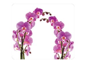 4008838146699 - - Maximex Multi-Platte Orchideenblüte Schneidbrett Wandblende Mehrfarbig Gehärtetes Glas mehrfarbig  Silikon transparent - mehrfarbig