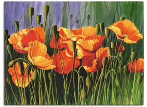 4055327816069 - Wandbild ARTLAND Mohnblumen I Bilder Gr B H 80 cm x 60 cm Leinwandbild Blumen 1 St rot Bild Kunstdruck Kunstdrucke Bilder als Leinwandbild Wandaufkleber oder Poster in versch Größen