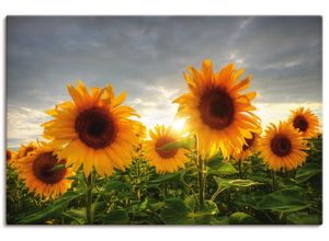 4062144278390 - Wandbild ARTLAND Sonnenblumen II Bilder Gr B H 60 cm x 40 cm Leinwandbild Blumen Querformat 1 St orange Bild Poster Bilder als Alubild Leinwandbild Wandaufkleber oder in versch Größen