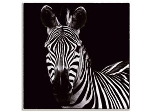 4055327717601 - Wandbild ARTLAND Zebra II Bilder Gr B H 70 cm x 70 cm Leinwandbild Wildtiere quadratisch 1 St schwarz Bild Poster Bilder als Leinwandbild Wandaufkleber oder in versch Größen