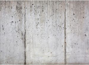 4059432189681 - LIVING WALLS Fototapete Designwalls Concrete Wall Tapeten Vlies Wand Schräge Decke Gr B L 35 m x 255 m grau