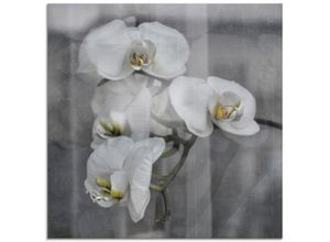 4055327669290 - Glasbild ARTLAND Weisse Orchideen - white Orchid Bilder Gr B H 50 cm x 50 cm Glasbild Blumen quadratisch 1 St schwarz Bild Glasbild Glasbilder Bilder in verschiedenen Größen