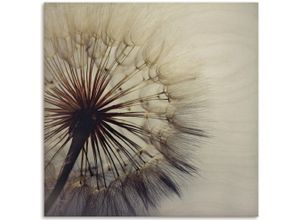 4062144727454 - Holzbild ARTLAND Große Pusteblume Bilder Gr B H T 50 cm x 50 cm x 12 cm Holzbild Blumenbilder quadratisch 1 St blau Holzbild Holzbilder