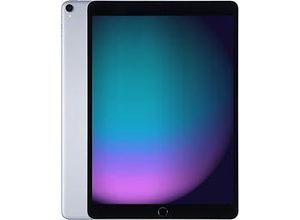 0190198331441 - Gebraucht iPad Pro 105 256GB (2017) WiFi + Cellular Space Grau