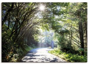 4062144596210 - Wandbild ARTLAND Sonniger Wald Bilder Gr B H 70 cm x 50 cm Leinwandbild Baumbilder Querformat 1 St grün Kunstdrucke als Alubild Leinwandbild Wandaufkleber oder Poster in versch Größen