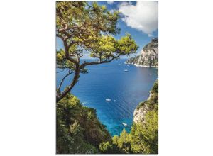 4062144661604 - Wandbild ARTLAND Punta de Masullo Insel Capri Italien Bilder Gr B H 40 cm x 60 cm Alu-Dibond-Druck Meer Bilder Hochformat 1 St blau Kunstdrucke als Alubild Leinwandbild Wandaufkleber oder Poster in versch Größen