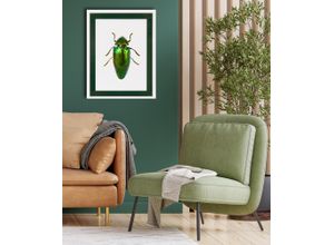 4067437112863 - Bild mit Rahmen QUEENCE Käfer glitzer dunkelgrün Bilder Gr B H T 40cm x 50cm x 2cm Hochkant Insekten Hochformat grün (weiß) Poster mit buntem Acrylglas Passepartout