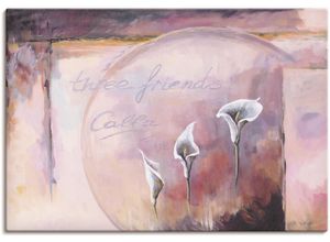 4055327162241 - Wandbild ARTLAND Calla Bilder Gr B H 70 cm x 50 cm Leinwandbild Blumenbilder Querformat 1 St pink Kunstdrucke als Alubild Leinwandbild Wandaufkleber oder Poster in versch Größen