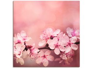 4057738844150 - Wandbild ARTLAND Kirschblüten Bilder Gr B H 70 cm x 70 cm Leinwandbild Blumen quadratisch 1 St pink Bild Poster Bilder als Alubild Leinwandbild Wandaufkleber oder in versch Größen