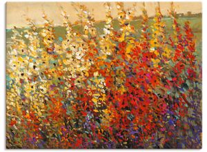 4058661338204 - Wandbild ARTLAND Feld mit Herbstblumen I Bilder Gr B H 60 cm x 45 cm Leinwandbild Blumenwiese Querformat 1 St rot Bild Metallbild Metallbilder Bilder als Alubild Leinwandbild Wandaufkleber oder Poster in versch Größen