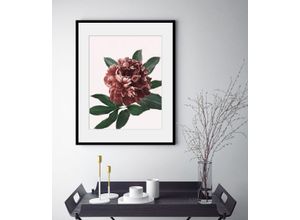 4049009842149 - Bild QUEENCE Corinna Bilder Gr B H 40 cm x 50 cm Wandbild Blumen Hochformat 1 St rot Bild Kunstdruck Bilder mit Rahmen