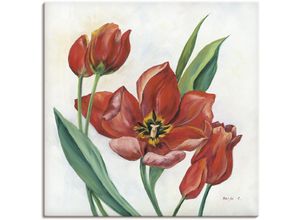 4055327137584 - Wandbild ARTLAND Tulpen I Bilder Gr B H 70 cm x 70 cm Leinwandbild Blumenbilder quadratisch 1 St rot Kunstdrucke als Alubild Leinwandbild Wandaufkleber oder Poster in versch Größen