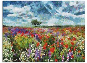 4062144705025 - Wandbild ARTLAND Bunte Wiese Bilder Gr B H 80 cm x 60 cm Leinwandbild Blumenwiese Querformat 1 St bunt Kunstdrucke als Alubild Leinwandbild Wandaufkleber oder Poster in versch Größen