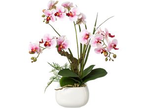 4064118137023 - Kunstorchidee CREATIV GREEN Deko-Orchidee Phalaenopsis im Keramiktopf Kunstpflanzen Gr B H L 20 cm x 46 cm x 20 cm 1 St lila Kunst-Orchideen