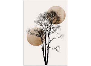 4062144778128 - Wandbild ARTLAND Sonne und Mond versteckt Bilder Gr B H 40 cm x 60 cm Alu-Dibond-Druck Baumbilder Hochformat 1 St grau Kunstdrucke als Alubild Leinwandbild Wandaufkleber oder Poster in versch Größen