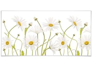 4063129156764 - Poster WALL-ART Daisies Bilder Gr B H T 150 cm x 75 cm x 01 cm Schriftzug 1 St bunt Poster ohne Bilderrahmen