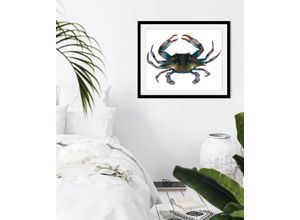 4049009845263 - Bild QUEENCE Mr Krabs Bilder Gr B H 50 cm x 40 cm Wandbild Meer Querformat 1 St blau Bild Kunstdruck Bilder mit Rahmen