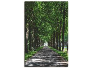 4062144111918 - Wandbild ARTLAND Allee in der Karlsaue Kassel Bilder Gr B H 40 cm x 60 cm Leinwandbild Bäume Hochformat 1 St grün Bild Metallbild Metallbilder Bilder als Alubild Leinwandbild Wandaufkleber oder Poster in versch Größen