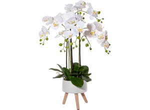 4064118138266 - Kunstorchidee CREATIV GREEN Orchidee Phalaenopsis in Keramikschale Kunstpflanzen Gr H 75 cm 1 St weiß Kunst-Orchideen mit Real-Touch-Blüten und auf Füßen