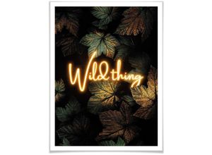 4063129162284 - Poster WALL-ART Wild Thing Bilder Gr B H T 100cm x 120cm x 01cm Schriftzug bunt Poster ohne Bilderrahmen