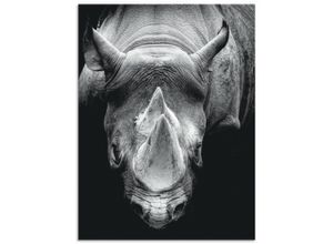 4062144663981 - Wandbild ARTLAND Das Nashorn Bilder Gr B H 45 cm x 60 cm Alu-Dibond-Druck Wildtiere Hochformat 1 St schwarz Kunstdrucke als Alubild Leinwandbild Wandaufkleber oder Poster in versch Größen