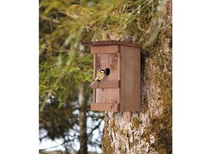 9003117069251 - - Vogelnest aus massivem lackiertem Holz