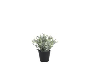 5712750395217 - Chic Antique Fleur künstliche Petersilie 24 cm Ø 20 cm 5712750395217 - Chic Antique Fleur künstliche Petersilie 24 cm Ø 20 cm