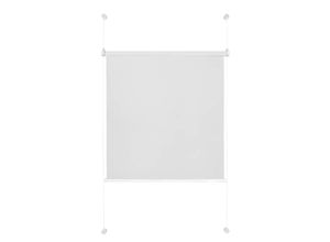 4040255301657 - Tageslicht-Rollo ohne Bohren Klemmrollo für Fenster und Türen Klemmfix Sichtschutz Sonnenschutz Fenster innen alternative Plissee - Weiß - 80x130 4040255301657 - Tageslicht-Rollo ohne Bohren Klemmrollo für Fenster und Türen Klemmfix Sichtschutz Sonnenschutz Fenster innen alternative Plissee - Weiß - 80x130