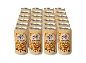 4260286510358 - Caramel Latte 025 Liter Dose 24er Pack