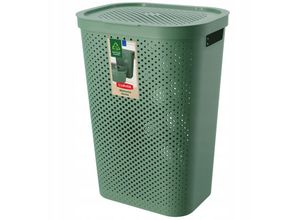 3253924754185 - - curver Wäschebox Infinity Recycled aus Kunststoff 60L Grün