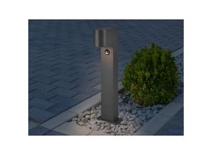 4017807529258 - Webmarketpoint - Niedriger Gartenpoller 1xGU10 Roya Anthrazit IP44 Bewegungssensor Trio Beleuchtung