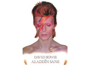 5050574315210 - - Poster david bowie aladdin sanierung