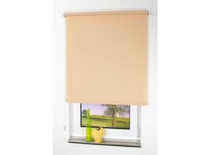 4016318302565 - Liedeco - Seitenzugrollo Uni-Tageslicht sand Größe 92X240 cm