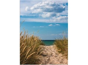 4057738605416 - Wandbild ARTLAND Strandzugang an der Ostsee - Dänemark 9 Bilder Gr B H 45 cm x 60 cm Alu-Dibond-Druck Strand 1 St blau Bild Kunstdruck Leinwandbild Kunstdrucke Bilder als Alubild Leinwandbild Wandaufkleber oder Poster in versch Größen