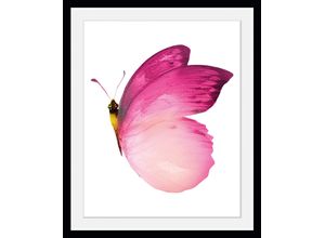 4049009846499 - Bild QUEENCE Judy Bilder Gr B H 40 cm x 50 cm Wandbild Schmetterlinge Hochformat 1 St rosa Bild Kunstdruck Bilder mit Rahmen