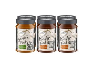 4316268697576 - Lieblings Fond 400 ml verschiedene Sorten 6er Pack