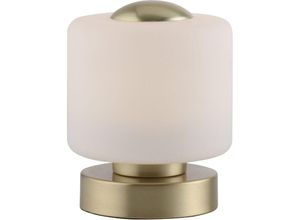 4012248366196 - Paul Neuhaus BOTA LED Tischleuchte dimmbar inklusive Touchdimmer Ø12cm messing matt