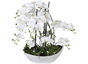 4064118077985 - Kunstorchidee CREATIV GREEN Phalaenopsisarrangement 68cm weiss Kunstpflanzen Gr H 68 cm 1 St weiß Kunstorchidee Kunst-Orchideen Kunstpflanzen in Keramikschale